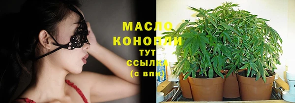 спиды Лагань