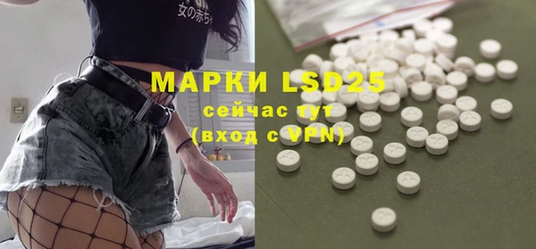 дживик Ладушкин