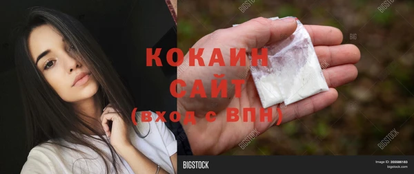 спиды Лагань