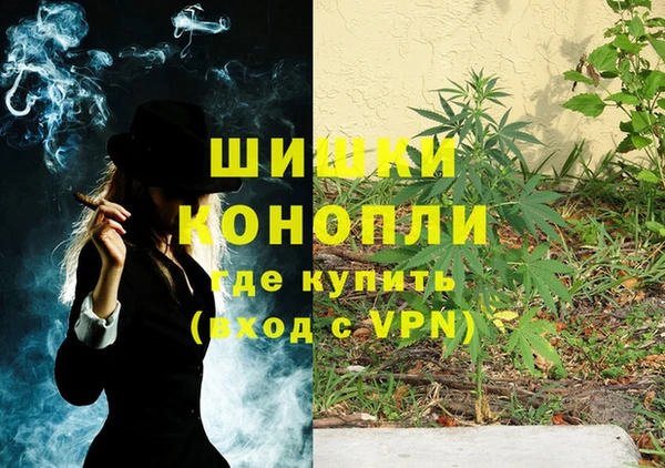 спиды Лагань