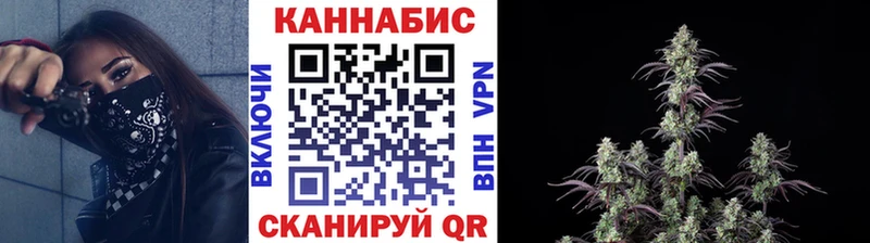 Бошки Шишки гибрид  Магадан 